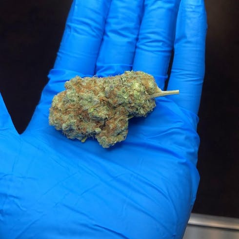 critical mass