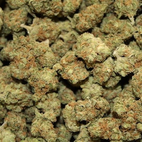 Super Sour Lemon by Veritas