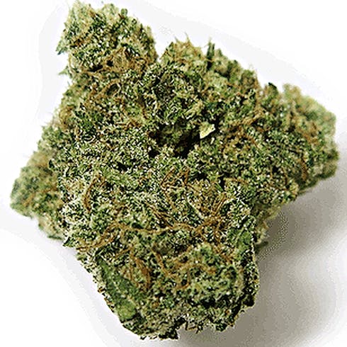 Chiquita Banana by Utopia