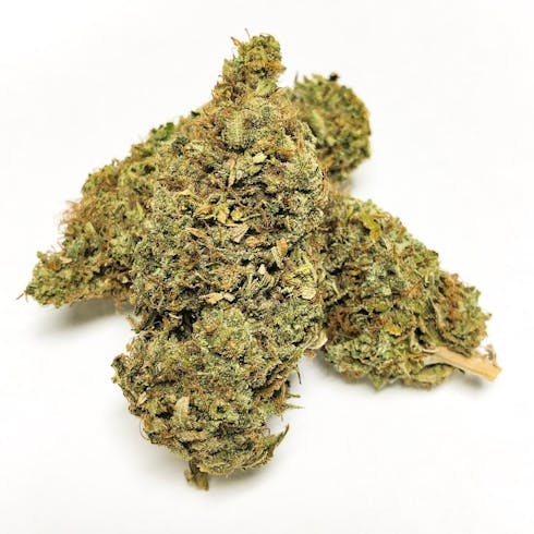 Uncle Fester's Skunk (TAX INCLUDED)