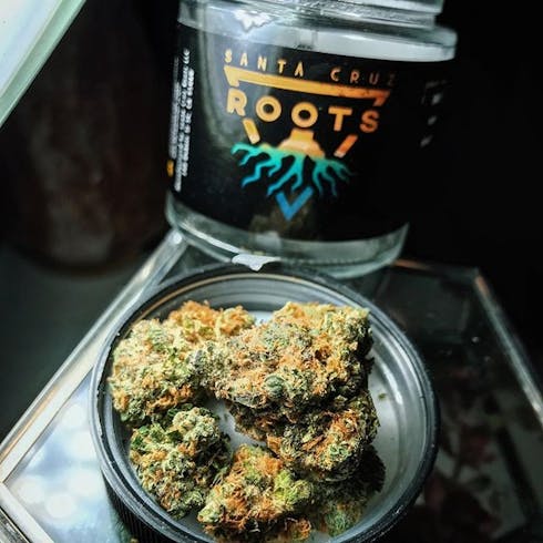 Wonka Bar by Santa Cruz Roots