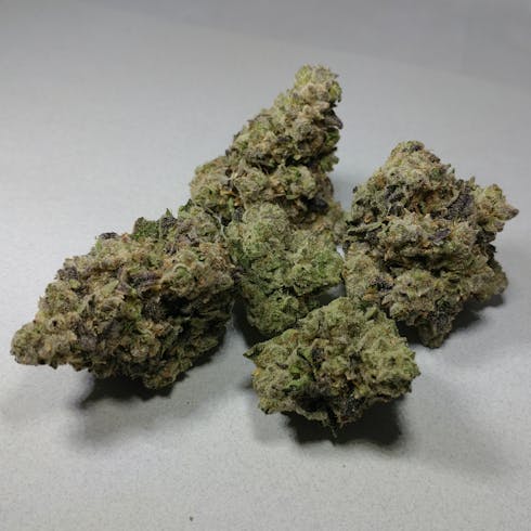 Avitas: Flower - Dragon OG