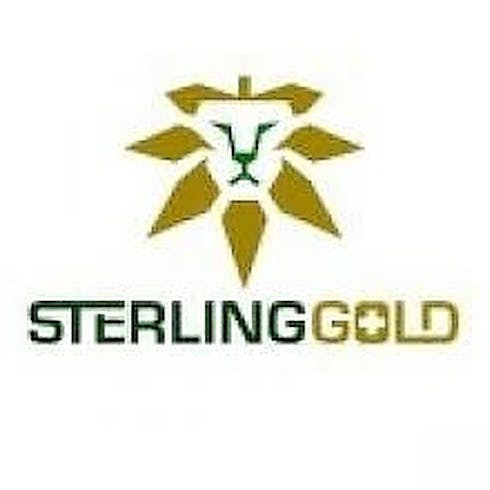 Sterling Gold Royal Great Balls of Fire Live Resin