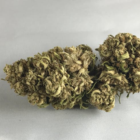 White Buffalo CBG Flower