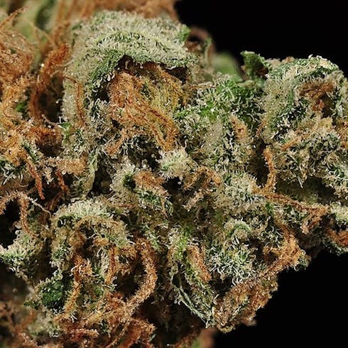 SoCal Pure Reunion OG (Indica)