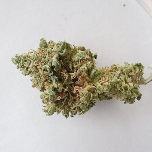 Premium: AK-47