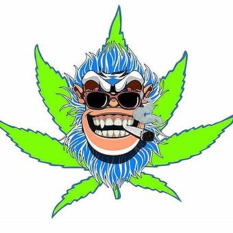 Highbloom Cannabis Rt 66