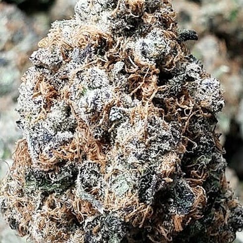 Mendo Breath (Tax Included)