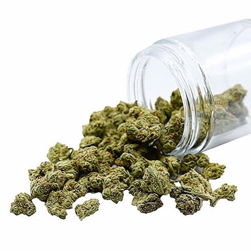 Value Popcorn Flower - Commerce City Kush