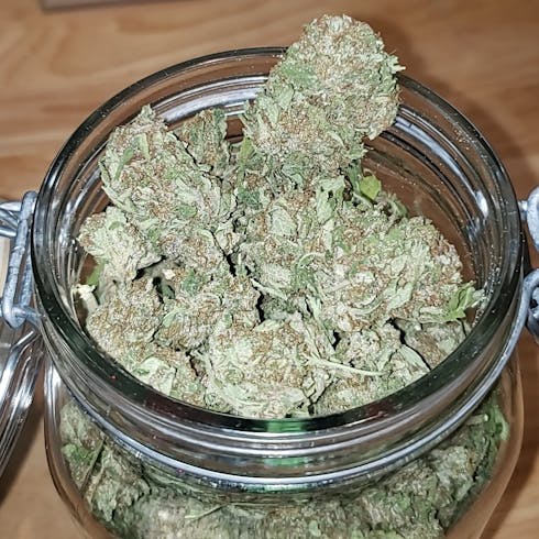 $40oz - Oregon Diesel (The Dub Whol)