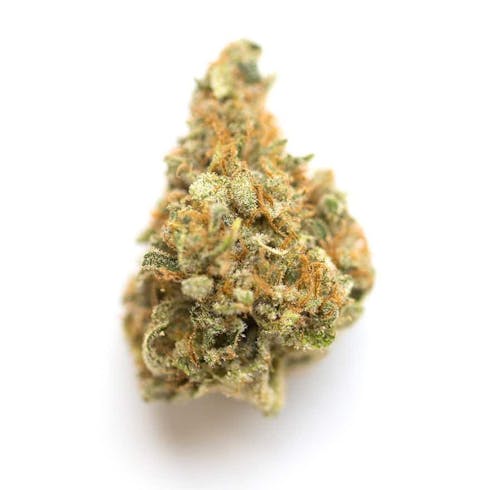 Mango Kush (28.60%THC) Grizzly Peaks