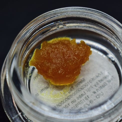 ZuZu # 9 Sugar - High Life Farms