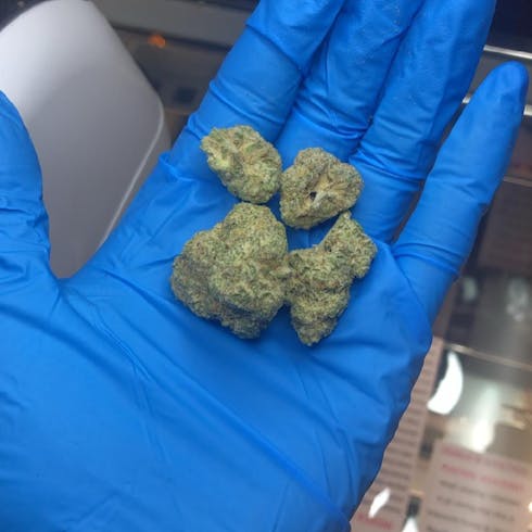 66 Cookies