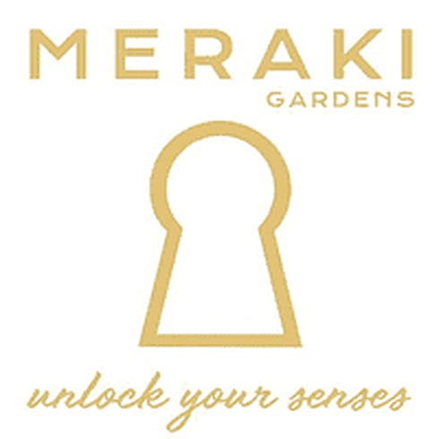 Peach Cobbler - Meraki
