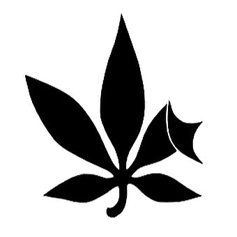 The Bend Cannabis Co. - Grand Bend