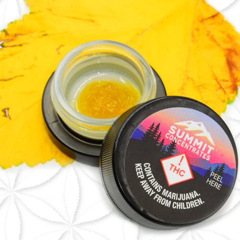 REC 21+ Summit Live Resin Lucinda Williams (Hybrid)