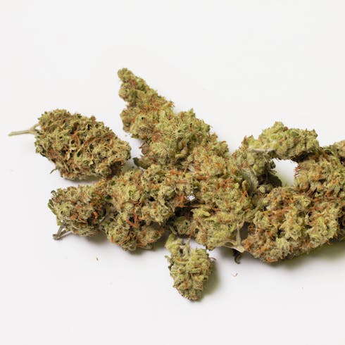 LA AMNESIA (80%/20%) S/H