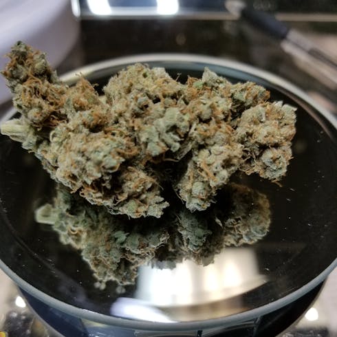 Granddaddy Purple