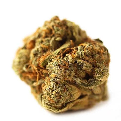 TOP TIER- ANIMALS COOKIES-X- KUSH MINTS