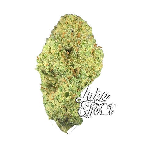 Grease Monkey - 15.87% THC