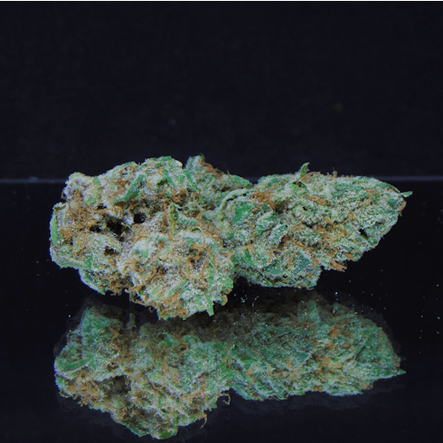 Alpine Frost (Mob Boss x montana Silver Tip x Sour Apple) Pheno 1 *Indica Hybrid