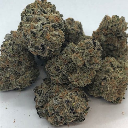 Bee Happy Farms - Blue Cookies BULK