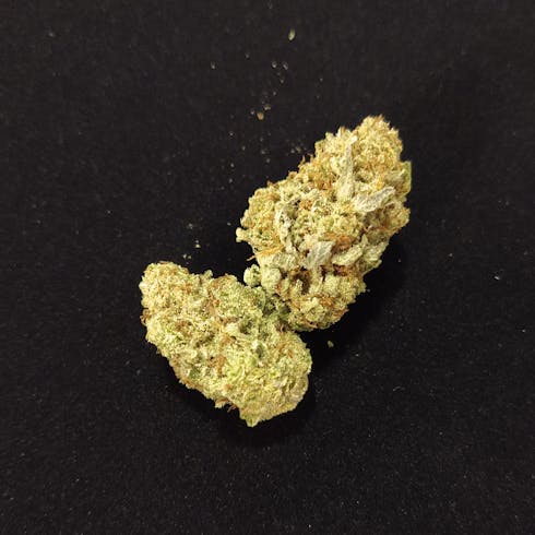 Wild Thai