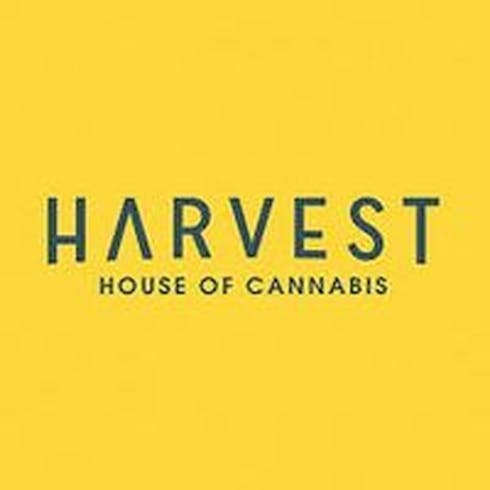 Lemon Hashplant (Premium Tier )