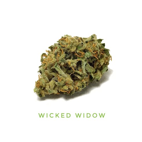 Wicked Widow by Triumph Farms