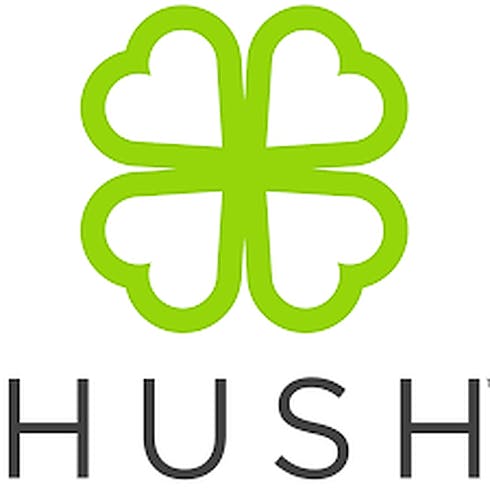 Hush - Trainwreck (S) - 1g Shatter