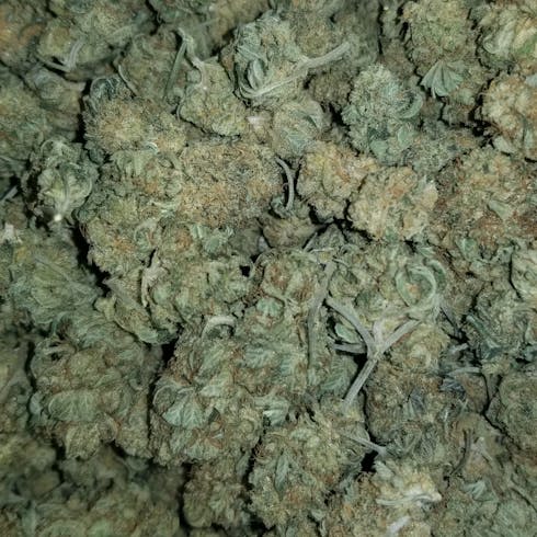 OG Kush