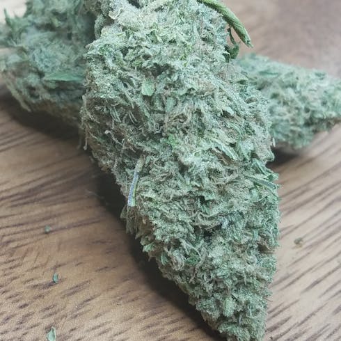 Silver Haze (TAX INCLUDED)