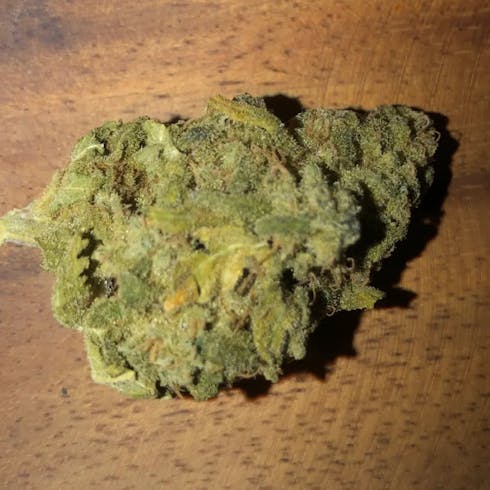 Kasiloff Kush