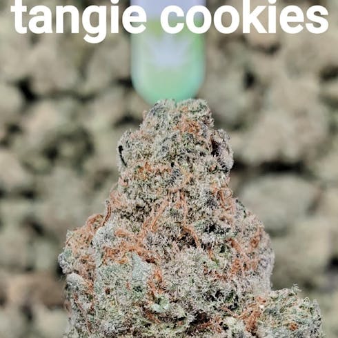 Tangie Cookies