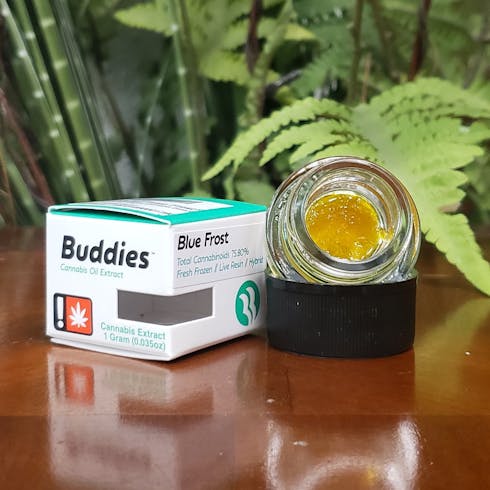 Buddies Blue Frost