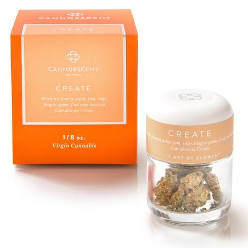 Create 310 by Canndescent