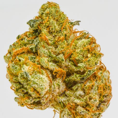 Larry OG by DANK