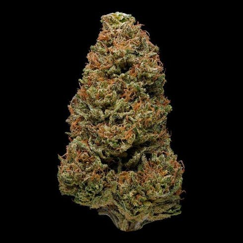 $99 Oz - HarleQuin OD (Oregon Roots)
