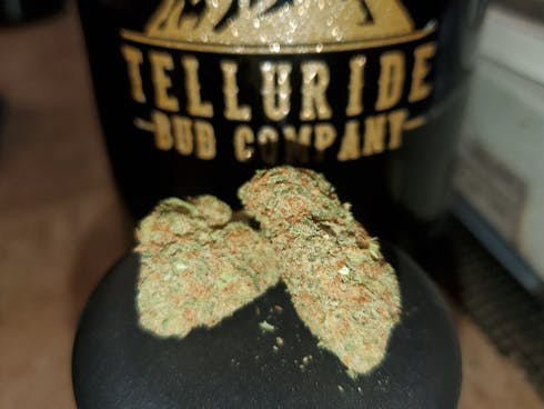 Telluride Gold - Spec Ops