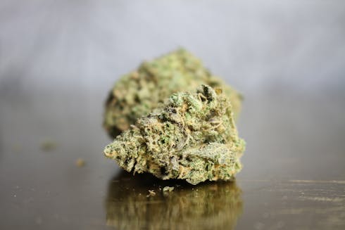 Wellness Factory Blue Dream Bulk