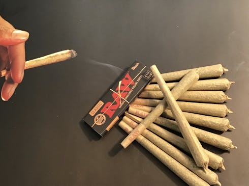 Skunk 1