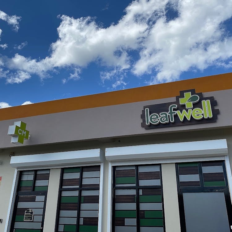Leafwell - San Sebastián