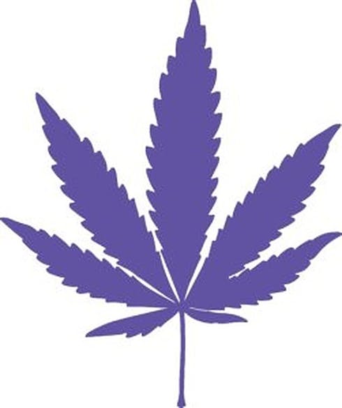 Forest Fire OG