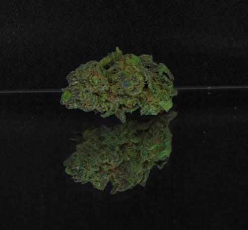 Blue Dream CBD (Blue Dream x CA Orange) *Hybrid