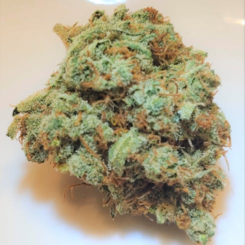Orange Creamsicle