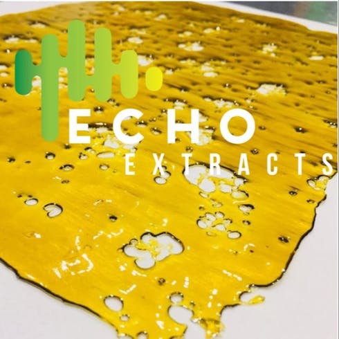 SHATTER - Holy Gorilla #4