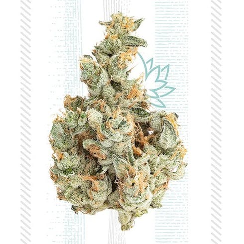 Grassroots - Garlic Cookies