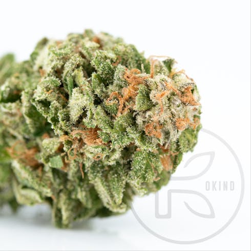 NYC Diesel | SdH