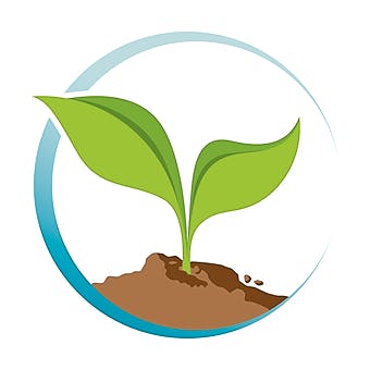 Safe Alternatives (Coming Soon)