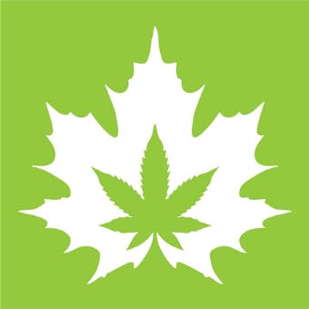 The House of Cannabis - King St. - Opening March 2021